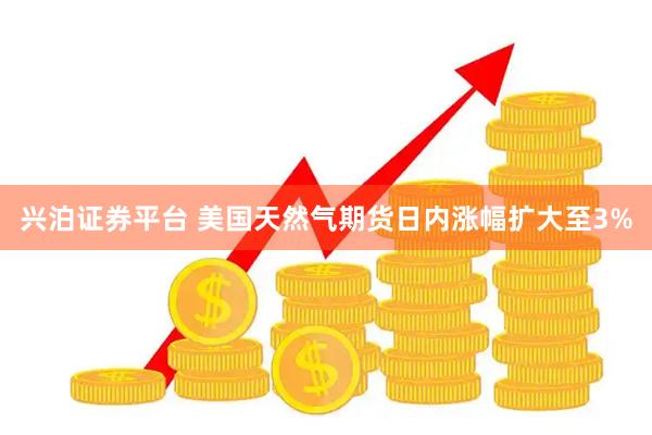 兴泊证券平台 美国天然气期货日内涨幅扩大至3%