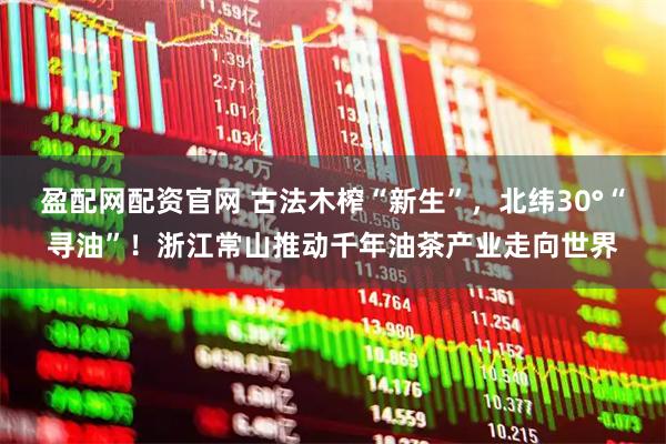 盈配网配资官网 古法木榨“新生”，北纬30°“寻油”！浙江常山推动千年油茶产业走向世界