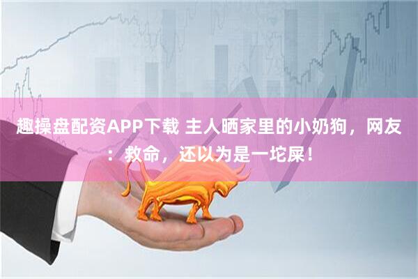 趣操盘配资APP下载 主人晒家里的小奶狗，网友：救命，还以为是一坨屎！