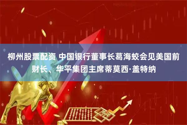 柳州股票配资 中国银行董事长葛海蛟会见美国前财长、华平集团主席蒂莫西·盖特纳