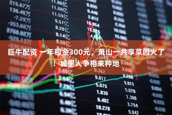 巨牛配资 一年租金300元，萧山一共享菜园火了！城里人争相来种地