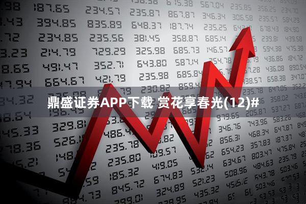 鼎盛证券APP下载 赏花享春光(12)#